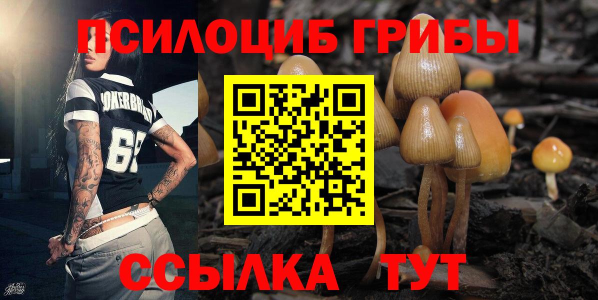 Псилоцибиновые грибы мицелий  Галлюциногенные грибы MAGIC MUSHROOMS  Вход с VPN  Острогожск 