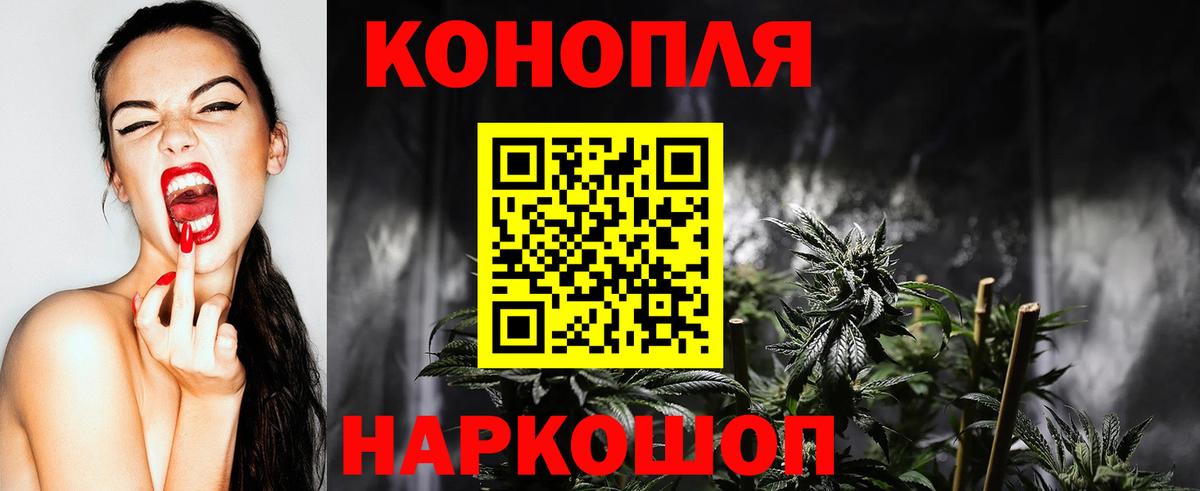 Бошки Шишки Bruce Banner  Марихуана гибрид  Каннабис планчик  Острогожск  Вход с VPN 